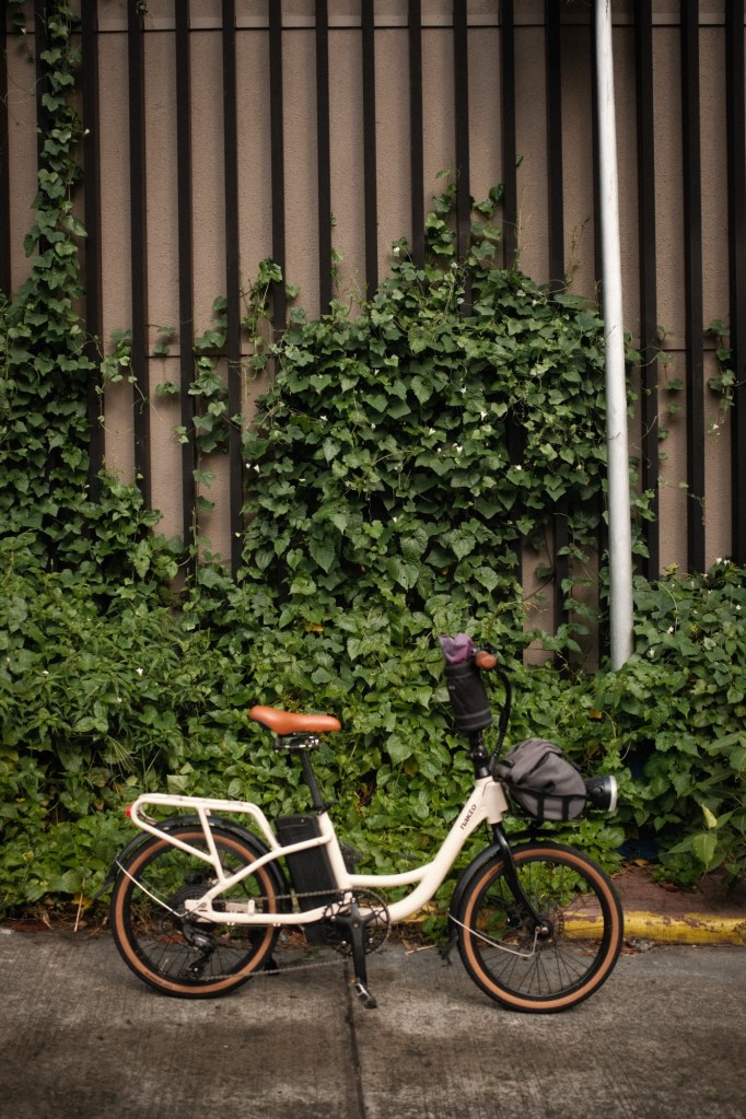 Nakto Carry e-bike